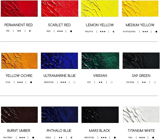 MEEDEN Artist Oil Paint Set - 12 Colors x 60ml/2oz Tubes - Art Supplies for Canvas Painting
