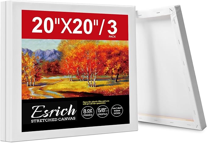 ESRICH 20x20 Stretched Canvas for Painting, 3 Pack Square Canvas for Painting Primed Acid-Free Framed Blank Canvas, Art Canvases for Beginners & Artists to Paint Oil, Acrylic, Pouring Painting.