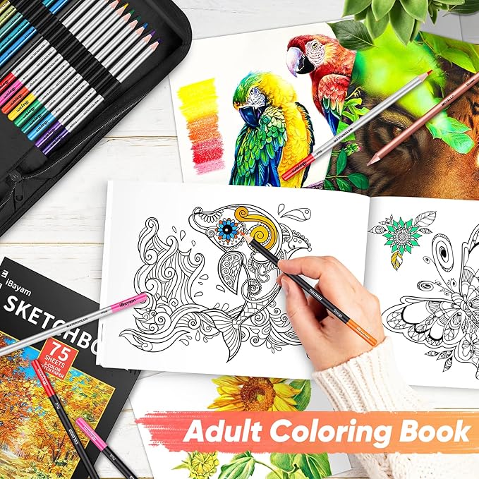 iBayam 78-Pack Drawing Set Sketching Kit Art Supplies for Adult, Christmas Gifts for Adult, with 3-Color Sketchbook, Coloring Book, Colored, Graphite, Charcoal, Watercolor & Metallic Pencil