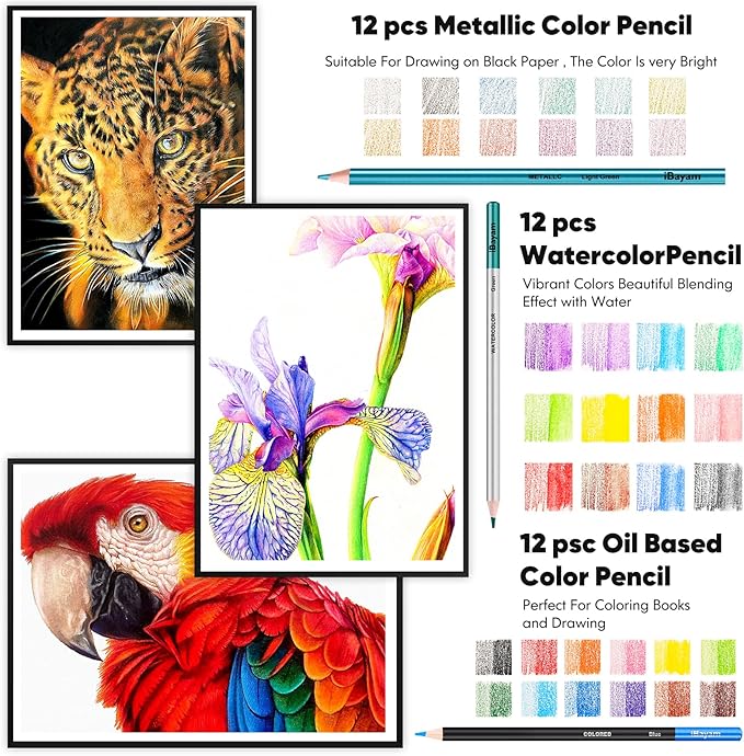 iBayam 78-Pack Drawing Set Sketching Kit Art Supplies for Adult, Christmas Gifts for Adult, with 3-Color Sketchbook, Coloring Book, Colored, Graphite, Charcoal, Watercolor & Metallic Pencil